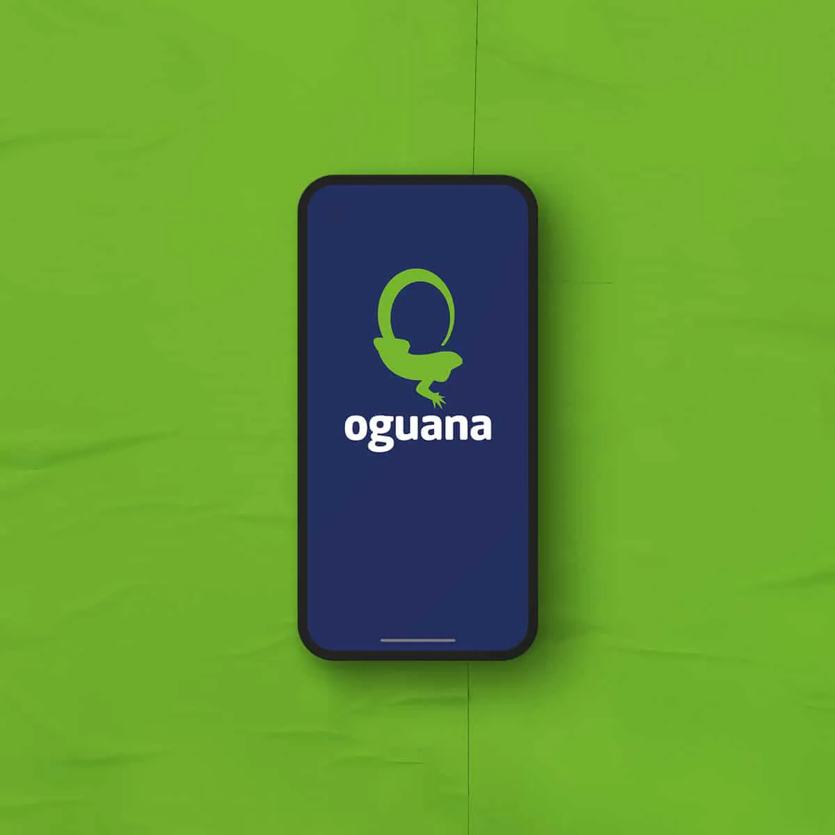 Dallas Design Co Portfolio Work Examples